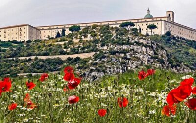 80-ta rocznica Bitwy o Monte Cassino